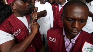 NDLEA seizes 1,471kg hard drugs, arrests 218 suspects in Imo