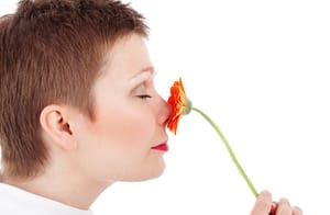 Similarities in body smells may contribute to social bonding