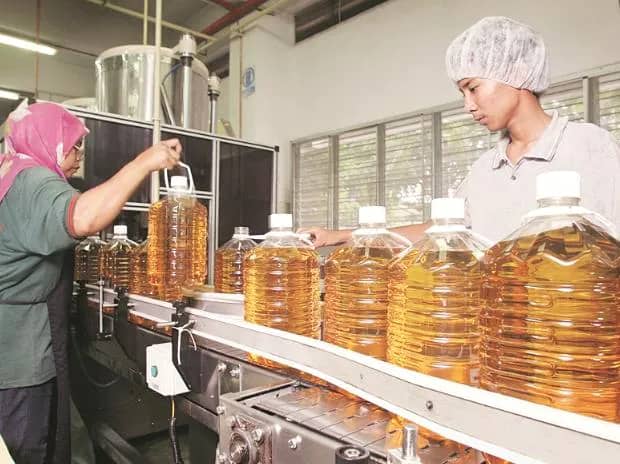 Indonesian crisis could spur focus on boosting local edible oil production