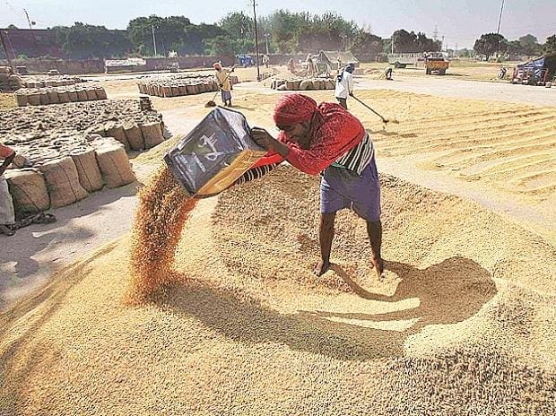 Govt set to pitch for grain sales from public stockholding at WTO meet