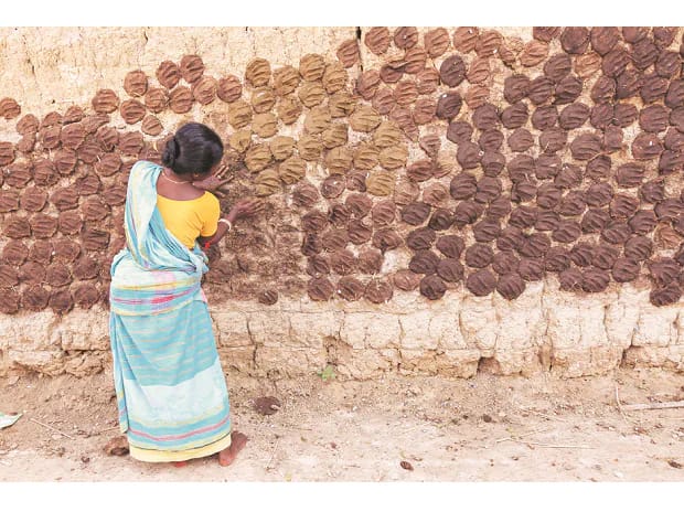 How villagers are creating capital out of cow dung in Chhattisgarh