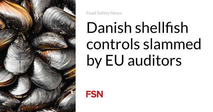Danish shellfish controls slammed by EU auditors