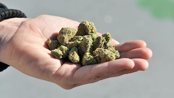 NDLEA intercepts jumbo bags of cannabis, seizes 524,720 opioids in 3 states