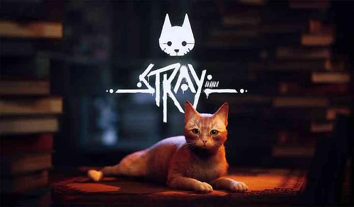 Stray Review – More Than Just a Cute Cat