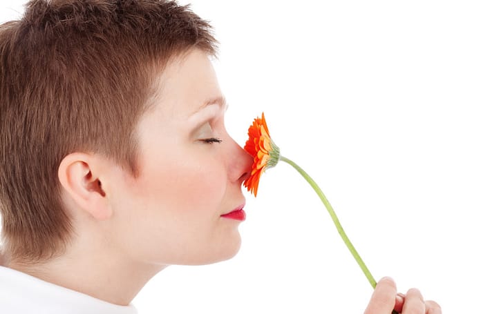 Similarities in body smells may contribute to social bonding